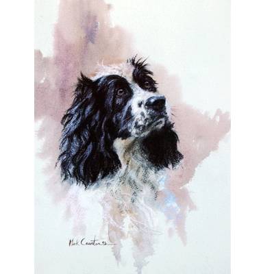 Cocker Spaniel By: Mick Cawston