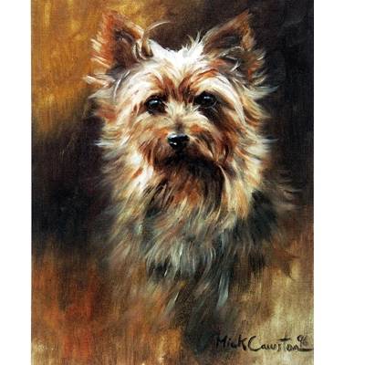 The Yorkie By: Mick Cawston