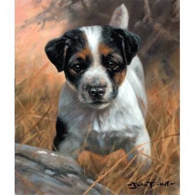 Jack Russell Pup By: John Trickett