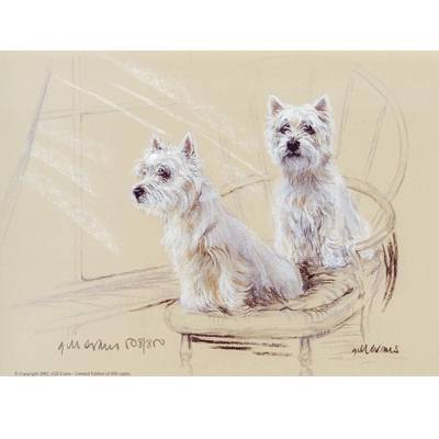 5-582659 West Highland Terriers By: Gill Evans, Matted sku 5-582659