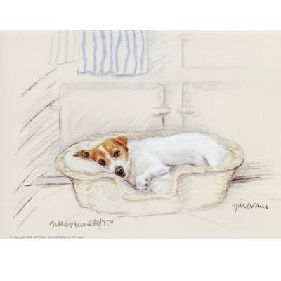 Terrier in a Basket By: Gill Evans, Matted