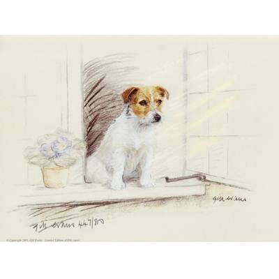 Terrier at the Window By: Gill Evans, Matted