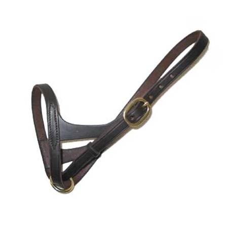 Foal Slip Halter