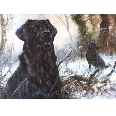 Concentration (Labrador Retriever) Blank Greeting Cards - 6 Pack