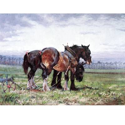 5-582687 Waiting to Work (Draft Horse) Blank Greeting Cards sku 5-582687