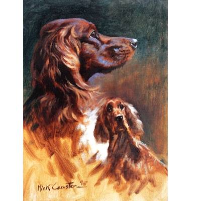 5-582697 Irish Setter By: Mick Cawston sku 5-582697