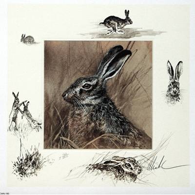 The Hare By: Mick Cawston