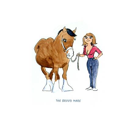 5-582710 Horses - The Brood Mare Blank Greeting Cards - 6 P sku 5-582710