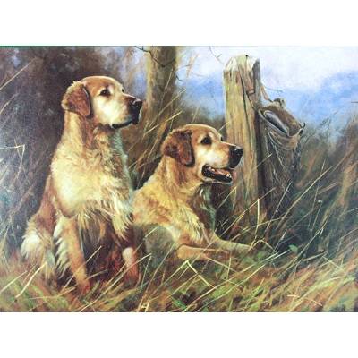 Golden Days (Golden Retrievers) Blank Greeting Cards - 6 Pack