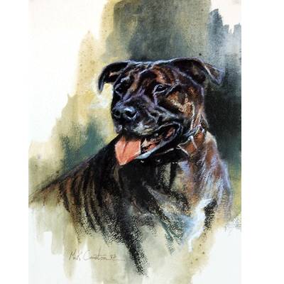 5-582722 Staffordshire Bull Terrier By: Mick Cawston sku 5-582722