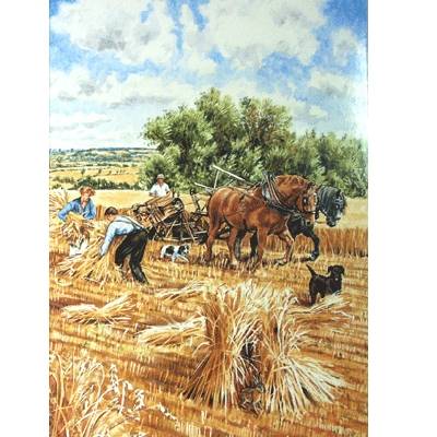 5-582736 Harvesting Blank Greeting Cards - 6 Pack sku 5-582736