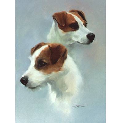 Parson Jack Russell Blank Greeting Cards - 6 Pack