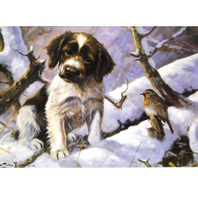 5-582738 First Encounter (English Springer) Blank Greeting  sku 5-582738