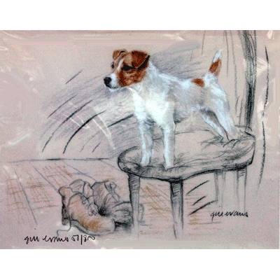 Terrier Standing on a Chair By: Gill Evans, Matted