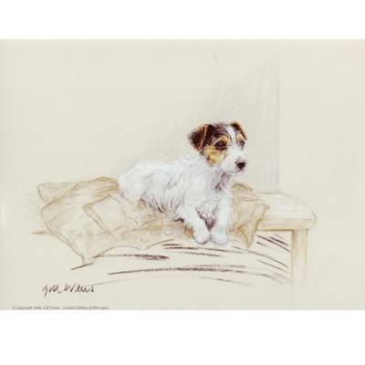 Terrier on Jacket By: Gill Evans, Matted