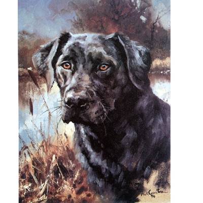 5-582766 Black Lab By: Mick Cawston sku 5-582766