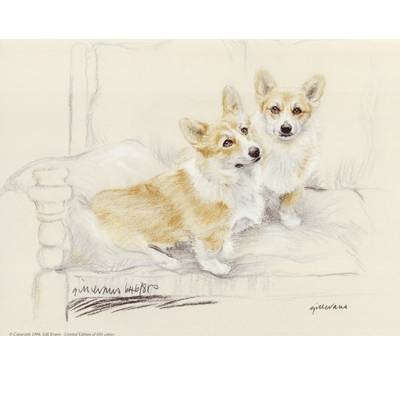 5-582769 Corgis By: Gill Evans, Matted sku 5-582769