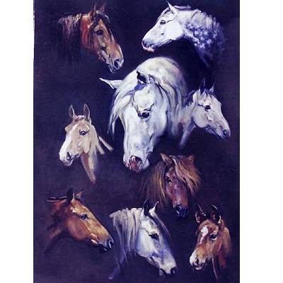 Horses Blank Greeting Cards - 6 Pack