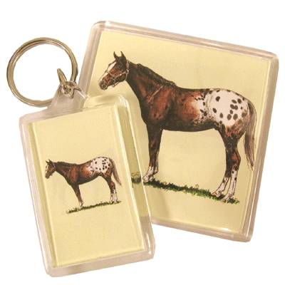 5-583173 Acrylic Magnet - Appaloosa - 6 Pack sku 5-583173