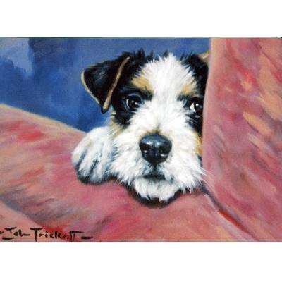 5-582820 Peeping Tom (Jack Russell) Blank Greeting Cards -  sku 5-582820