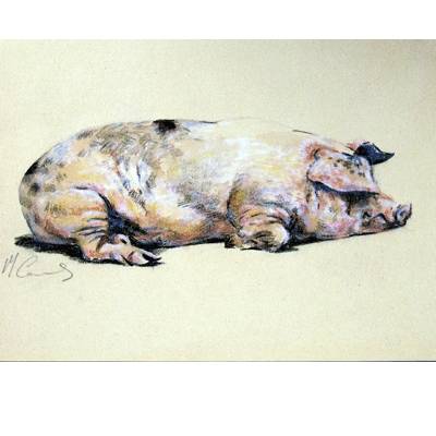 5-582823 Sweet Dreams (Pig) Blank Greeting Cards - 6 Pack sku 5-582823