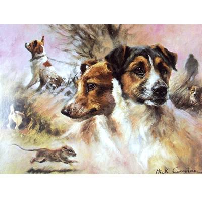 Terriers (Jack Russell) Blank Greeting Cards - 6 Pack