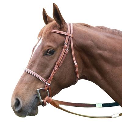 5-582827 Racing Bridle - Leather sku 5-582827