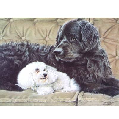 The Nanny (Newfoundland and Bichon) Blank Greeting Cards - 6 Pack