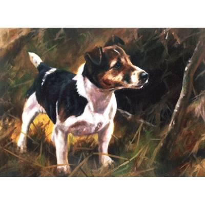 Jack (Jack Russell) Blank Greeting Cards - 6 Pack