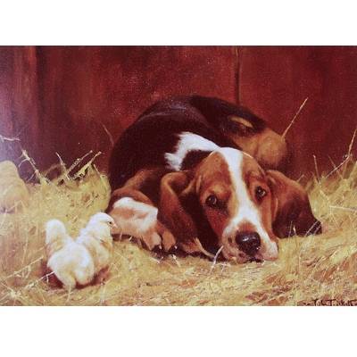 Im Watching You (Basset Hound) Blank Greeting Cards - 6 Pack