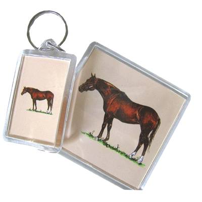 Acrylic Magnet - Thoroughbred - 6 Pack