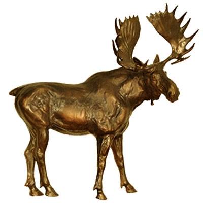 5-582908 Moose Wall Sculpture sku 5-582908