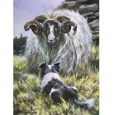 5-582914 Confrontation (Border Collie) Blank Greeting Cards sku 5-582914