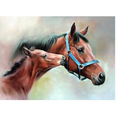 Horses - The Blue Head Collar Blank Greeting Cards - 6 Pack