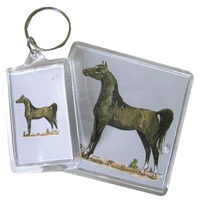 Acrylic Magnet - Arabian - 6 Pack