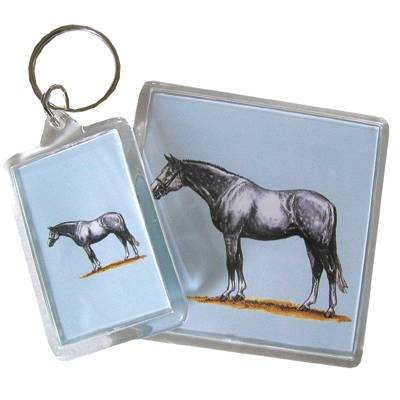 5-583237 Acrylic Magnet - Warmblood - 6 Pack sku 5-583237