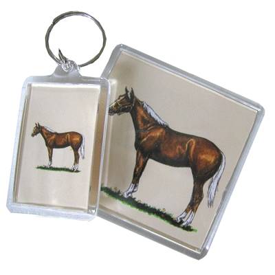 Acrylic Magnet - Quarter Horse - 6 Pack