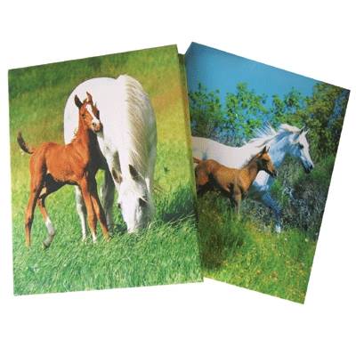 Puffy Cover Memo Book - 2 pack