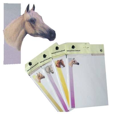 Equine Printer Paper - Arabian