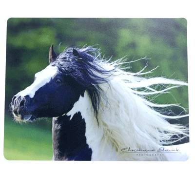 Gypsy Tinker Mouse Pad