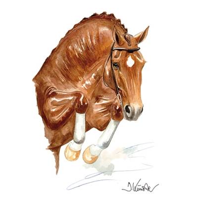 Jan Kunster Horse Prints - Salsa (Show Jumper)