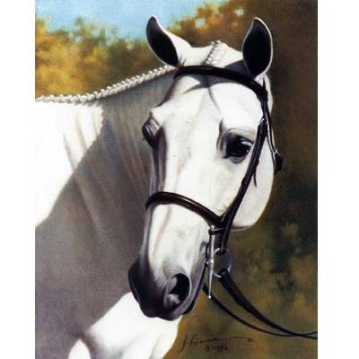 5-585669 Horses - A Familiar Voice - 6 Pack sku 5-585669