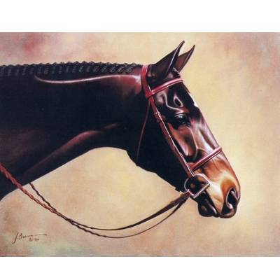 5-585672 Horses - Classic Elegance - 6 Pack sku 5-585672