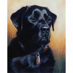 Dogs - A Stalwart Fellow (Labrador Retriever) - 6 Pack