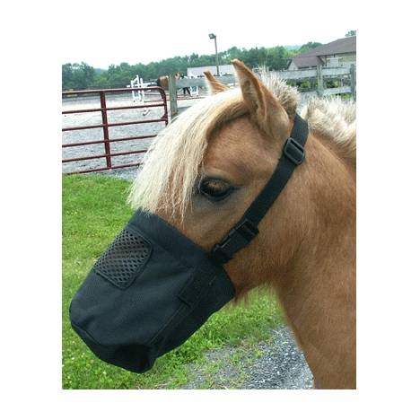 Miniature Horse Feed Bag