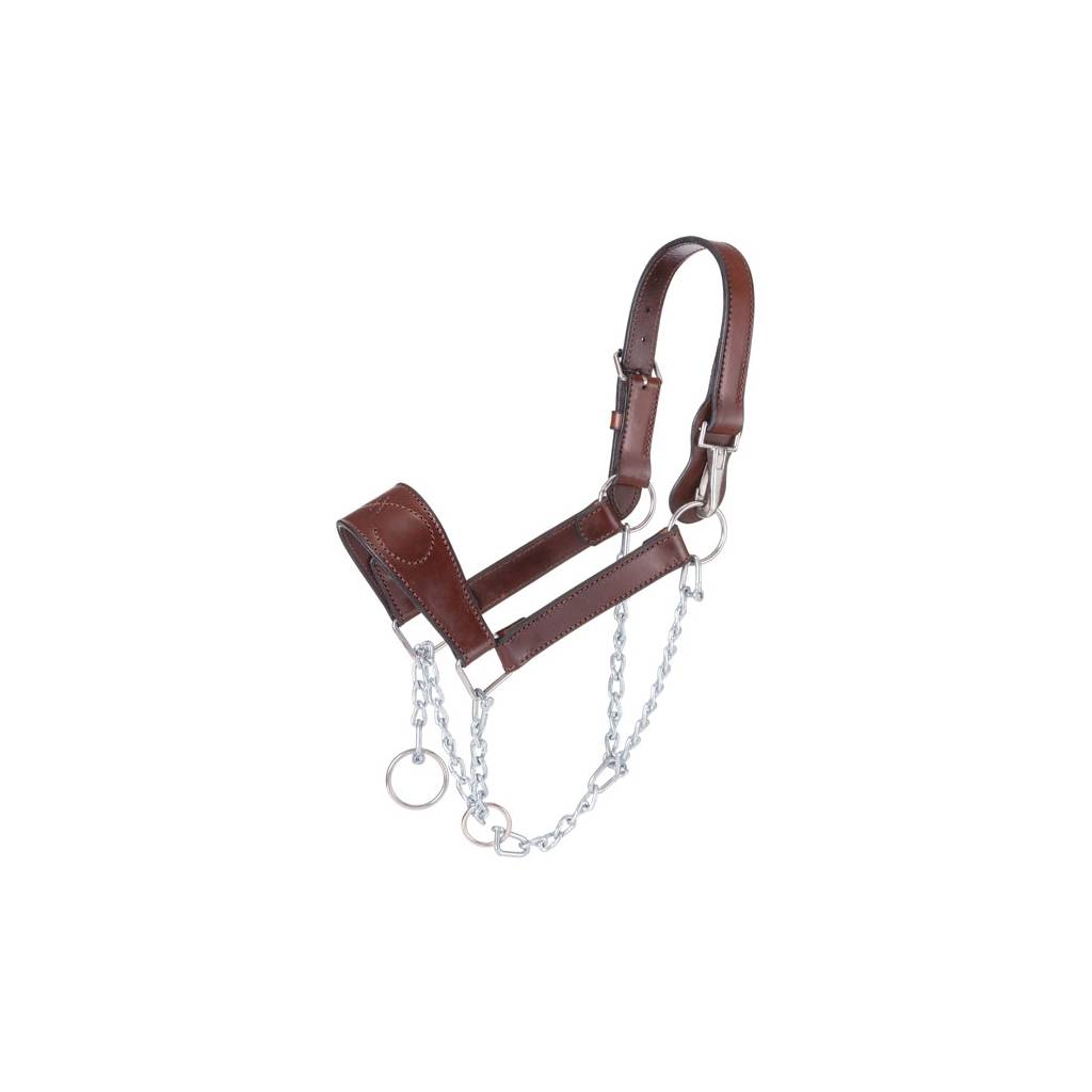 Tough-1 Leather Mule Halter with Draw Chain