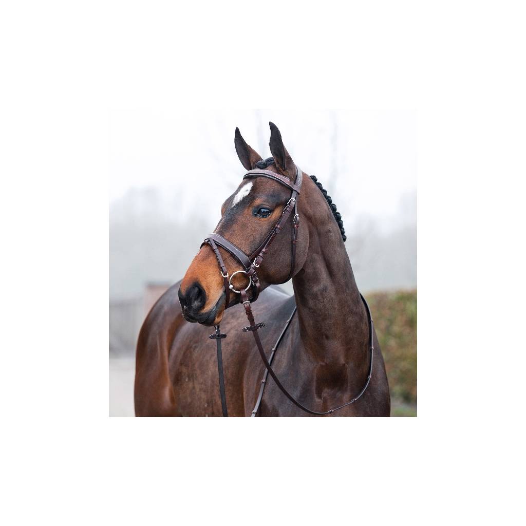 Horze Venice Snaffle Bridle