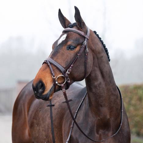 Horze Venice Snaffle Bridle