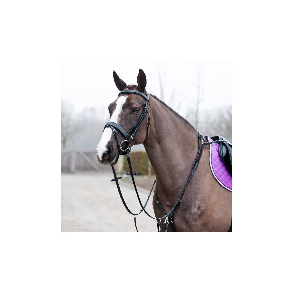 Horze Venice Combined Martingale