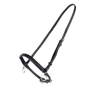 Finntack Synthetic Head Halter - Martingale Ring